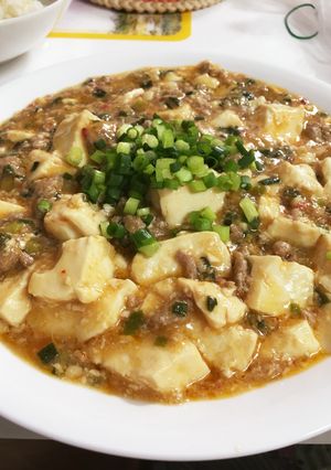 子供も食べれる麻婆豆腐-レシピのメイン写真