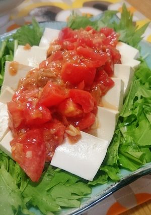 梅トマトソースがけ・豆腐のサラダ♪-レシピのメイン写真