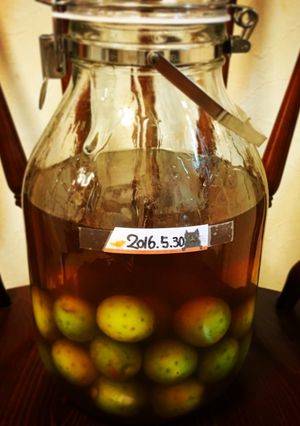 梅酒好き直伝(・ω・)蜂蜜ブランデー梅酒-レシピのメイン写真