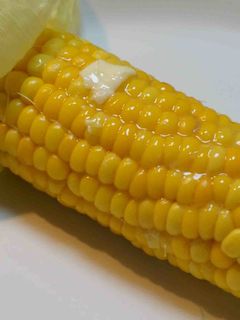 おいしい蒸しトウモロコシ-レシピのメイン写真
