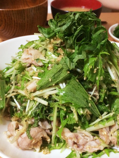 薬味たっぷり!水菜の冷しゃぶサラダ-レシピのメイン写真