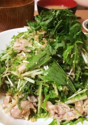 薬味たっぷり！水菜の冷しゃぶサラダ-レシピのメイン写真
