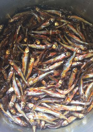 小鮎の佃煮-レシピのメイン写真