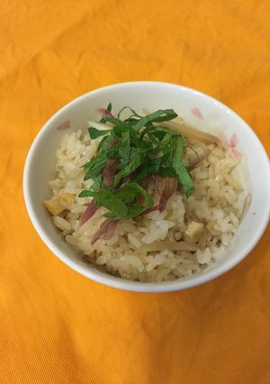新生姜ごはん☆-レシピのメイン写真