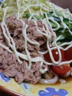 サッパリ夏のサラダうどん-レシピのメイン写真