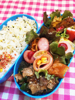 主人への愛妻弁当⑩-レシピのメイン写真