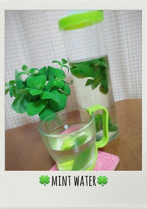 フレッシュミントでミントウォーター-レシピのメイン写真