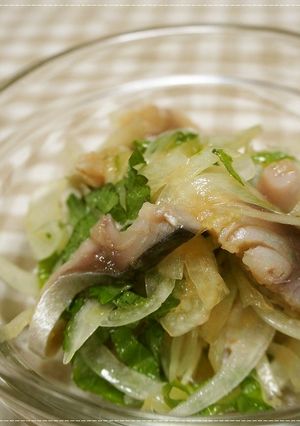 簡単☆新玉ねぎとしめ鯖の和え物-レシピのメイン写真