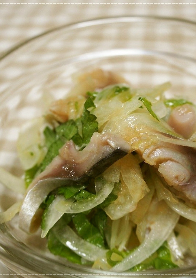簡単☆新玉ねぎとしめ鯖の和え物-レシピのメイン写真