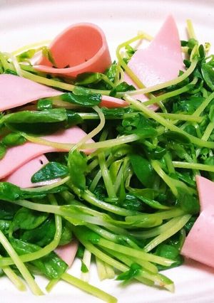 時間も費用も節約 豆苗サラダ-レシピのメイン写真