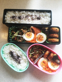 高校生のお弁当20-レシピのメイン写真