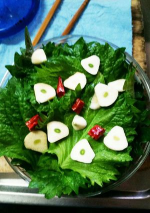保存！大量消費にも♪　紫蘇の醤油漬け-レシピのメイン写真