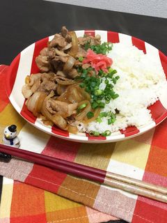 我が家のつゆだく牛丼&豚丼-レシピのメイン写真