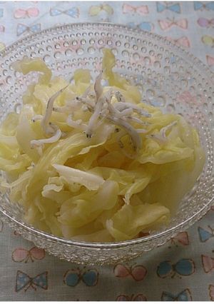 キャベツ消費に♪キャベツのおひたし-レシピのメイン写真