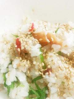 混ぜるだけ!お箸がすすむ梅しそご飯♪♪-レシピのメイン写真