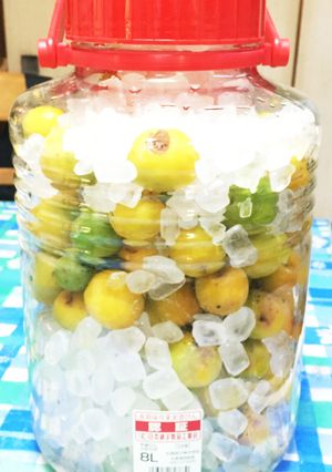 ☆簡単 梅シロップ 入れるだけ☆-レシピのメイン写真