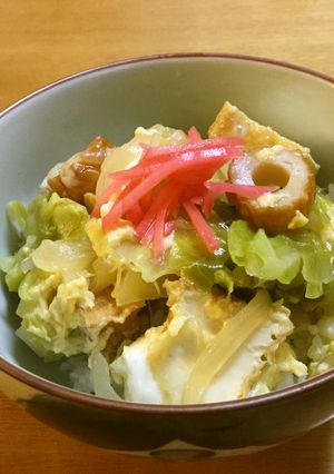 おいしいヘルシーお財布に優しい！簡単丼-レシピのメイン写真