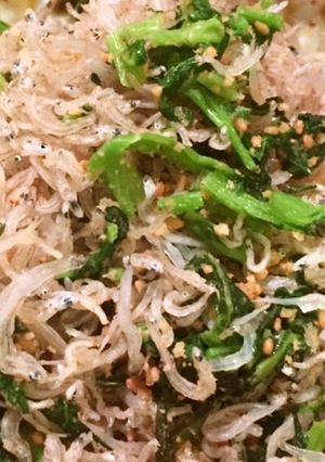 だいこ菜×ちりめん 味付なし簡単ふりかけ-レシピのメイン写真