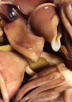 スルメイカの柔らか煮付け-レシピのメイン写真