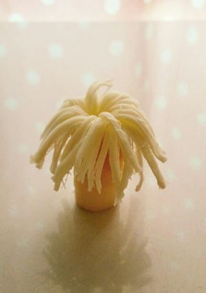 さいておいしいモッツァレラでヤシの木☆-レシピのメイン写真