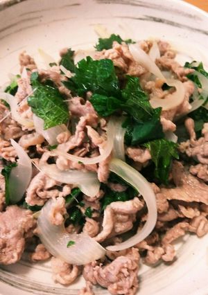 しそと豚肉と玉ねぎのさっぱり炒め-レシピのメイン写真