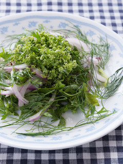 セロリのお花と赤玉ねぎのサラダ-レシピのメイン写真