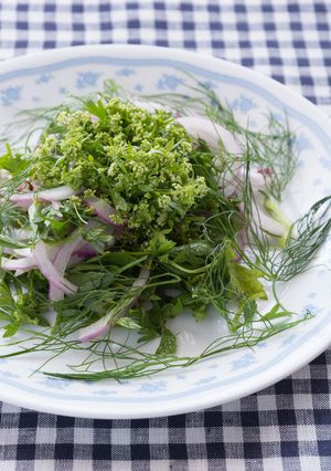 セロリのお花と赤玉ねぎのサラダ-レシピのメイン写真