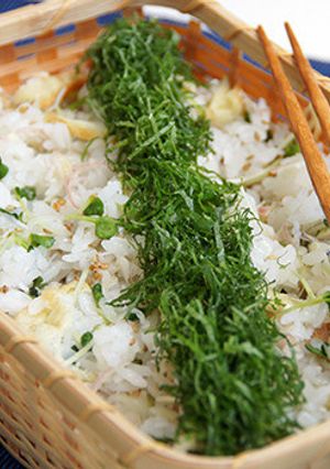 薬味寿司-レシピのメイン写真