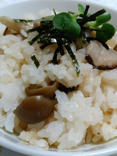 オイルきのこと明太子の混ぜご飯-レシピのメイン写真