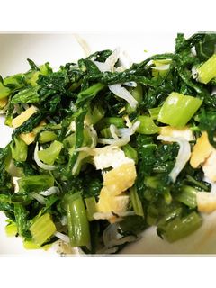 大根菜のちりめんじゃこ炒め-レシピのメイン写真