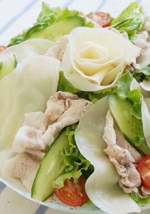 餃子皮でもちっと冷しゃぶ-レシピのメイン写真