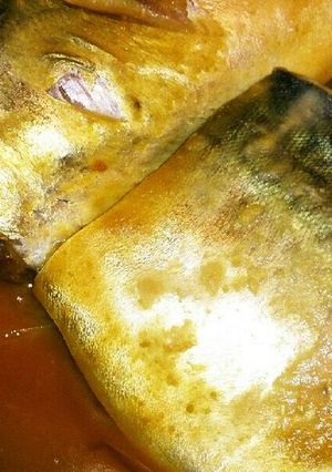 さばゴマ味噌煮-レシピのメイン写真