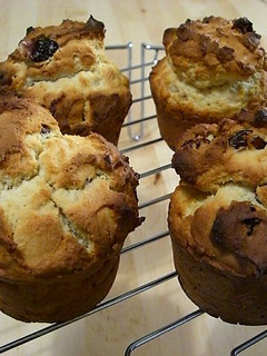 甘ずっぱウマ♡クランベリーおからマフィン-レシピのメイン写真