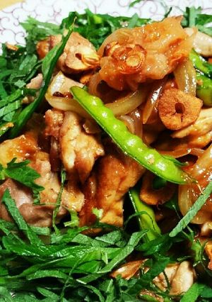 夏！食欲増進！鶏の梅ニンニク大葉醤油炒め-レシピのメイン写真