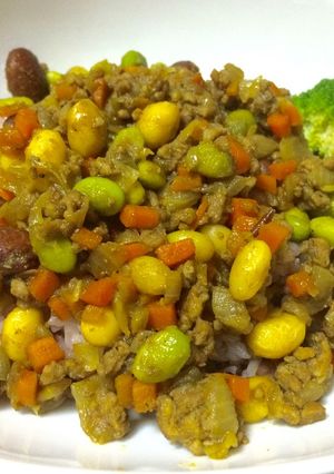ビーンズ☆ドライカレー-レシピのメイン写真