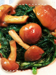 だしの素で簡単!春菊となめこの和風炒め-レシピのメイン写真