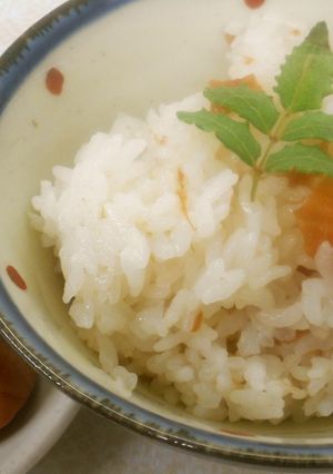 めっけもん♪簡単~梅ご飯-レシピのメイン写真