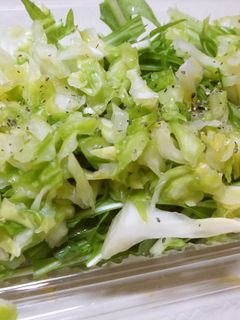 さっぱり塩レモンキャベツのサラダ☆-レシピのメイン写真