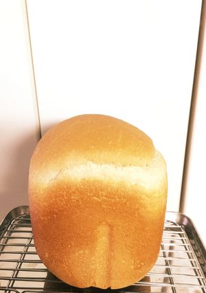 HB ｺｺﾅｯﾂｵｲﾙの羊羹 食パン-レシピのメイン写真