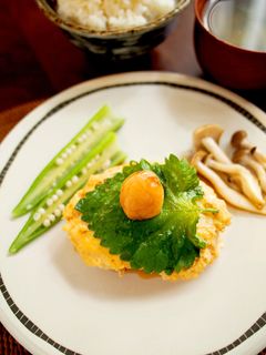 梅と鶏のハンバーグ~照り焼き仕立て~-レシピのメイン写真