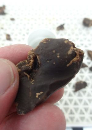 鳥レバージャーキー｜食品乾燥機ドラミニ by ラボネクト