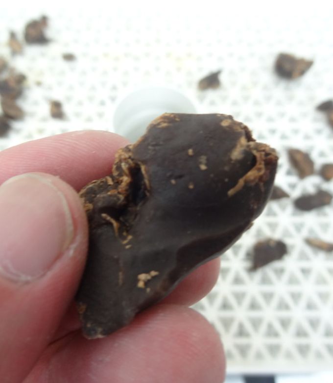 鳥レバージャーキー｜食品乾燥機ドラミニ by ラボネクト