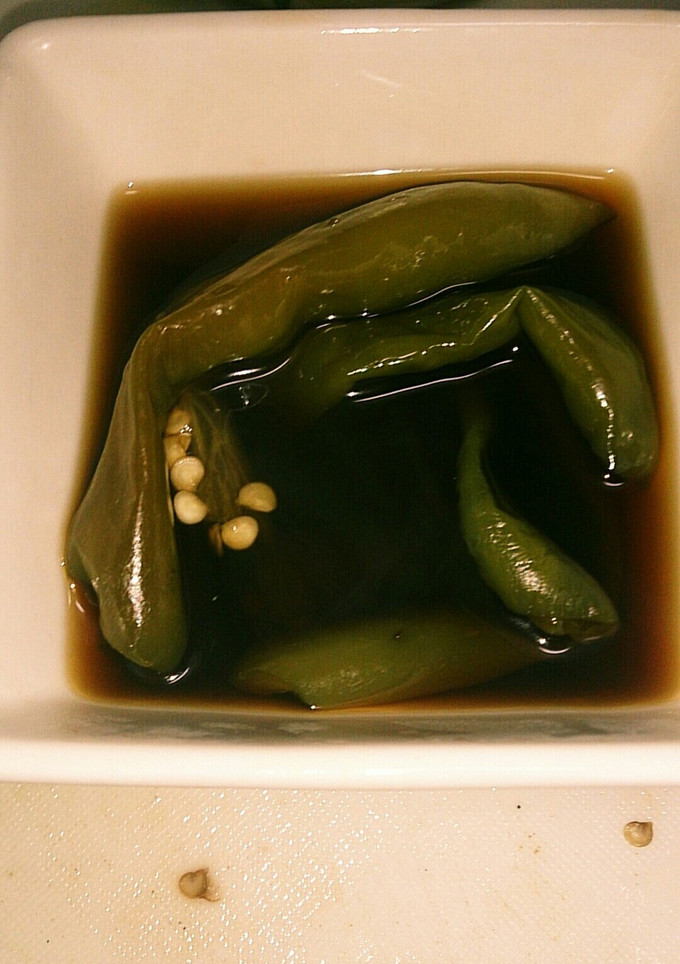 【レンジ】万願寺唐辛子の煮浸し【簡単】-レシピのメイン写真