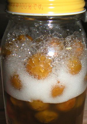 自家製酵母-レシピのメイン写真