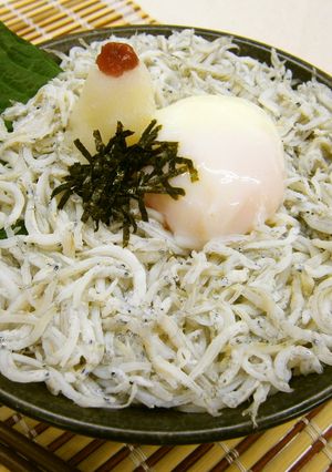 温玉釜揚げちりめん丼-レシピのメイン写真