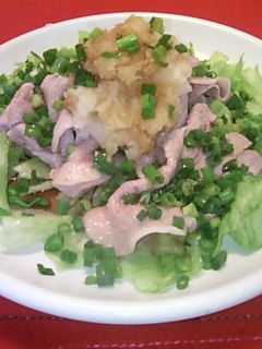 野菜とぽん酢でさっぱり冷しゃぶサラダ♪-レシピのメイン写真
