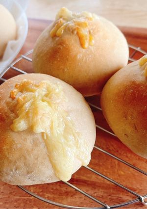 HB 全粒粉入りチーズ丸パン-レシピのメイン写真