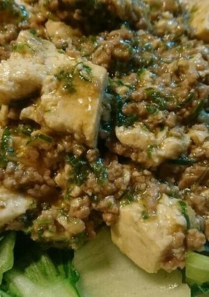 15分以内で出来る。簡単！麻婆豆腐！！-レシピのメイン写真