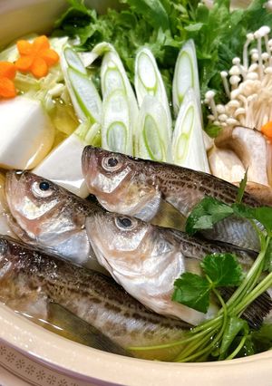 しょっつる鍋風❁¨̮ハタハタの魚醤鍋-レシピのメイン写真