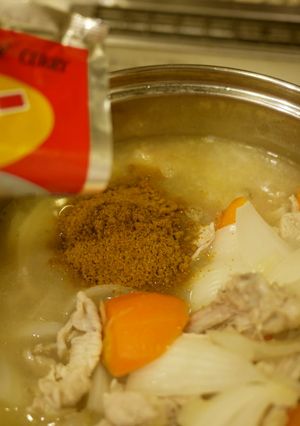 オリエンタルカレー-レシピのメイン写真